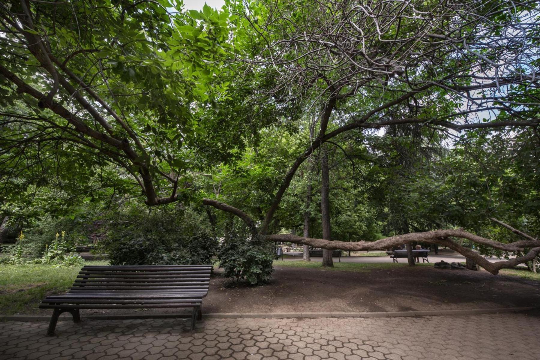 Rainforest Studio Downtown By Pretty Apartments Bucharest Luaran gambar